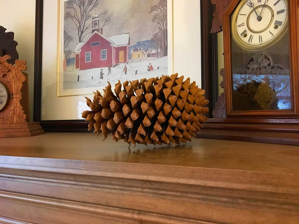 Red Pine Cones for Natural Decorations with a Rustic Touch –