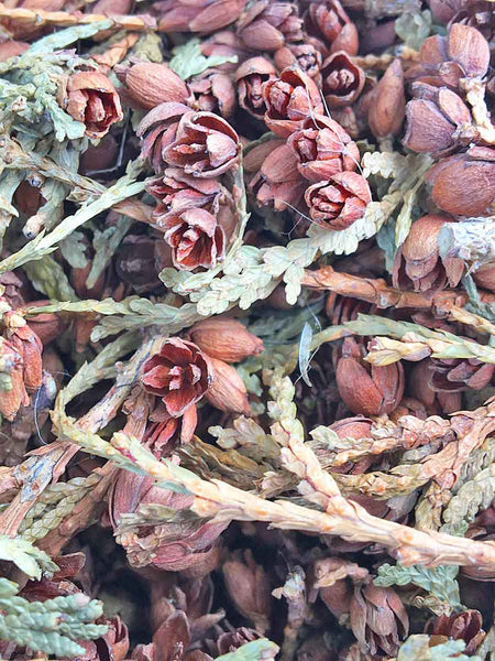 tiny pine cones with greenery