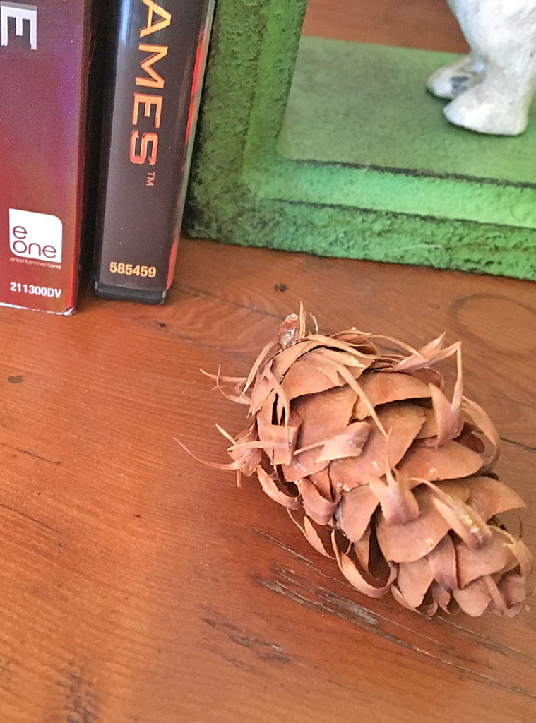 rustic pine cone diy for your home