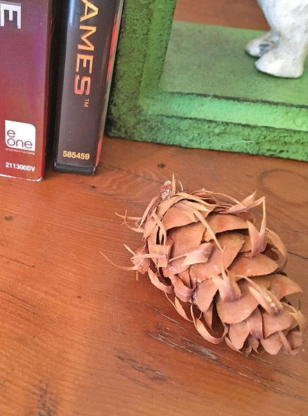 rustic pine cone diy for your home