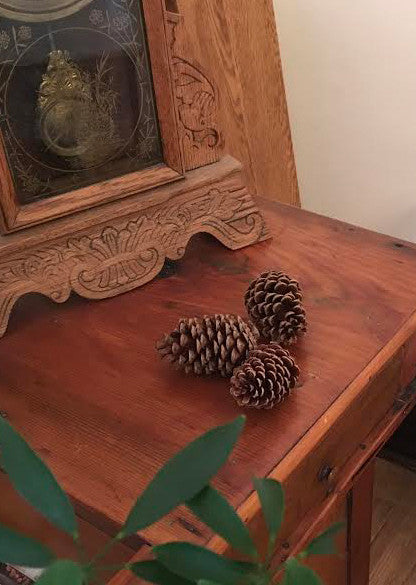 Medium Loblolly Pine Tree Cones for a Rustic Touch & Wreath Favorite - HouseofCones.com - 5