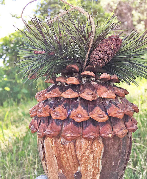 Pine Cone Christmas Ornament