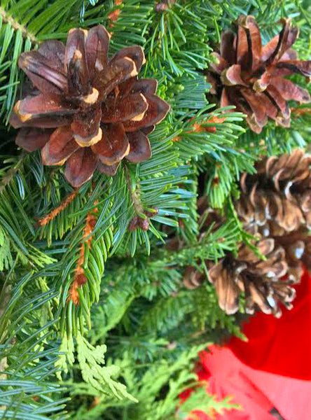 Holiday Wreaths for the Holidays