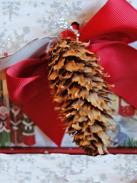 wholesale pine cones for sale