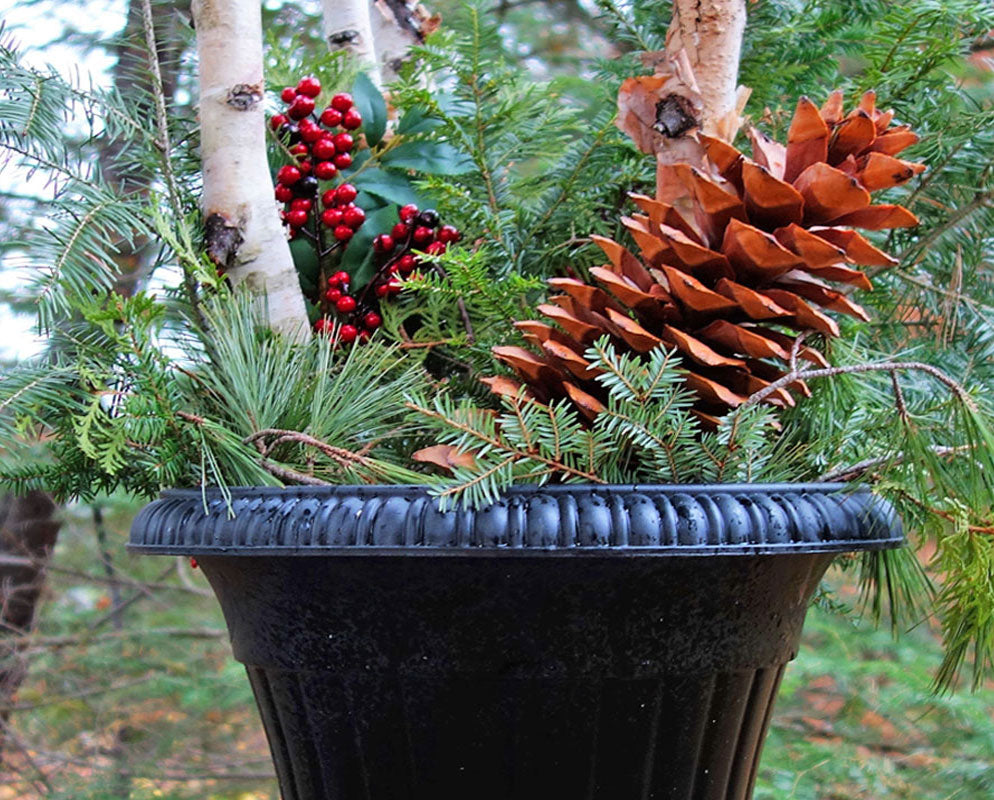 The Search for Giant Pine Cones and a Holiday Urn for All Seasons