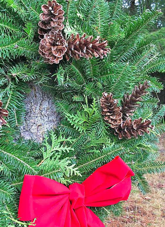 Brought to You From the Woods of New York State- Handmade Christmas Wreaths