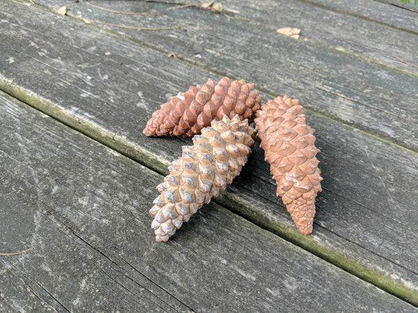 quality knob cones