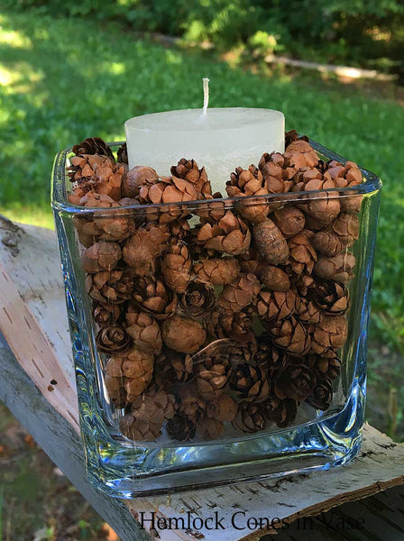 mini pine cones popular for fillers
