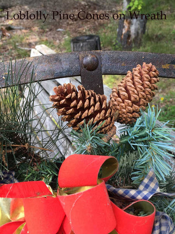 pine cones for christmas decor