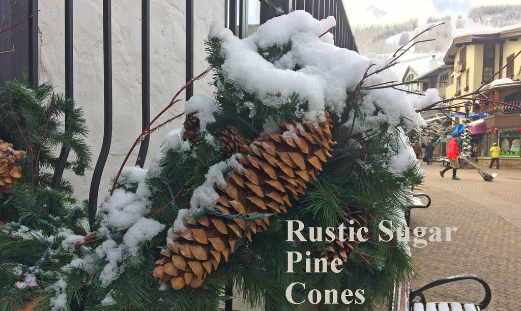 12-Pack Pine Cone Picks - Rustic Natural Decor for Home, Weddings