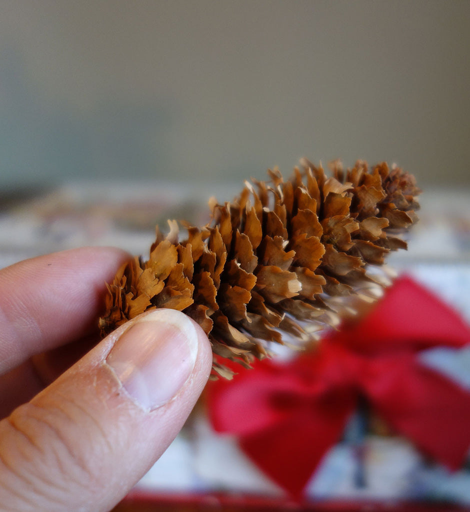 Small Pine Cones with Sitka Spruce , Woodsy Touch to any Event