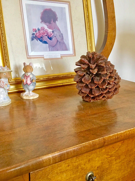 Large Pine Cones for rustic accents in home decor